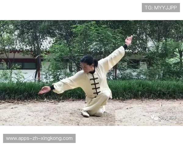 一拳通背！探秘中国武术通背拳的独门劲道，通背拳一路