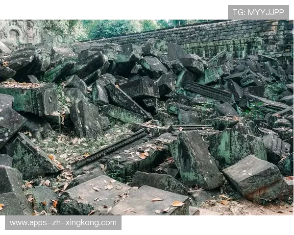 独行侠体系崩:新时代商业竞争的拐点 独行侠体系崩:新时代商业竞争的拐点