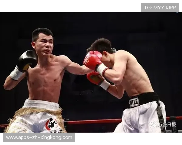 世界拳坛的黑马，何时会跳出历史轨迹？